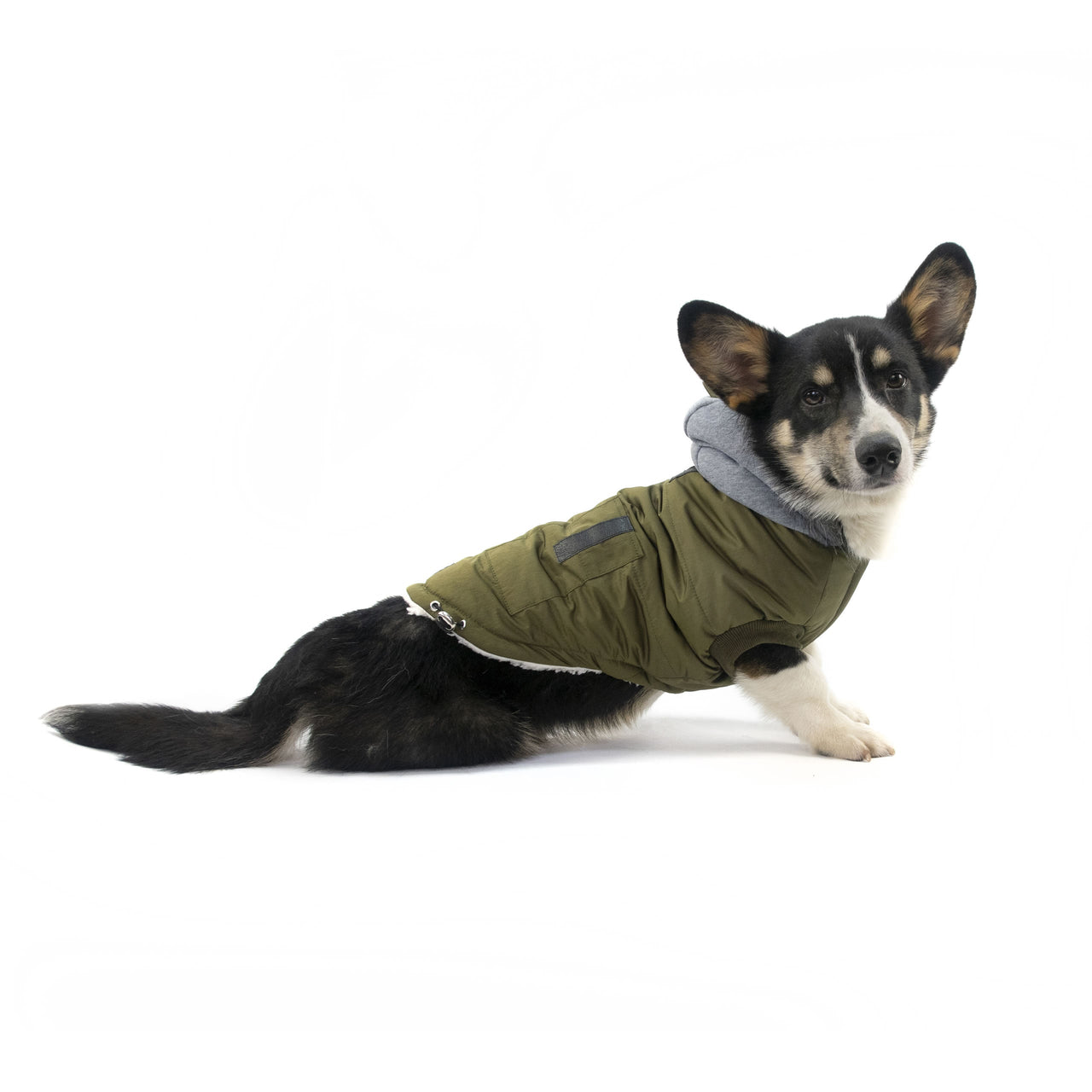 Brave Bark Thermal Parka for Dogs - Khaki brave bark