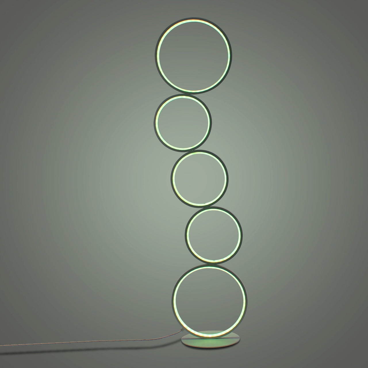 RGB Minimalist Circular Floor Lamp - Fantasiaa 