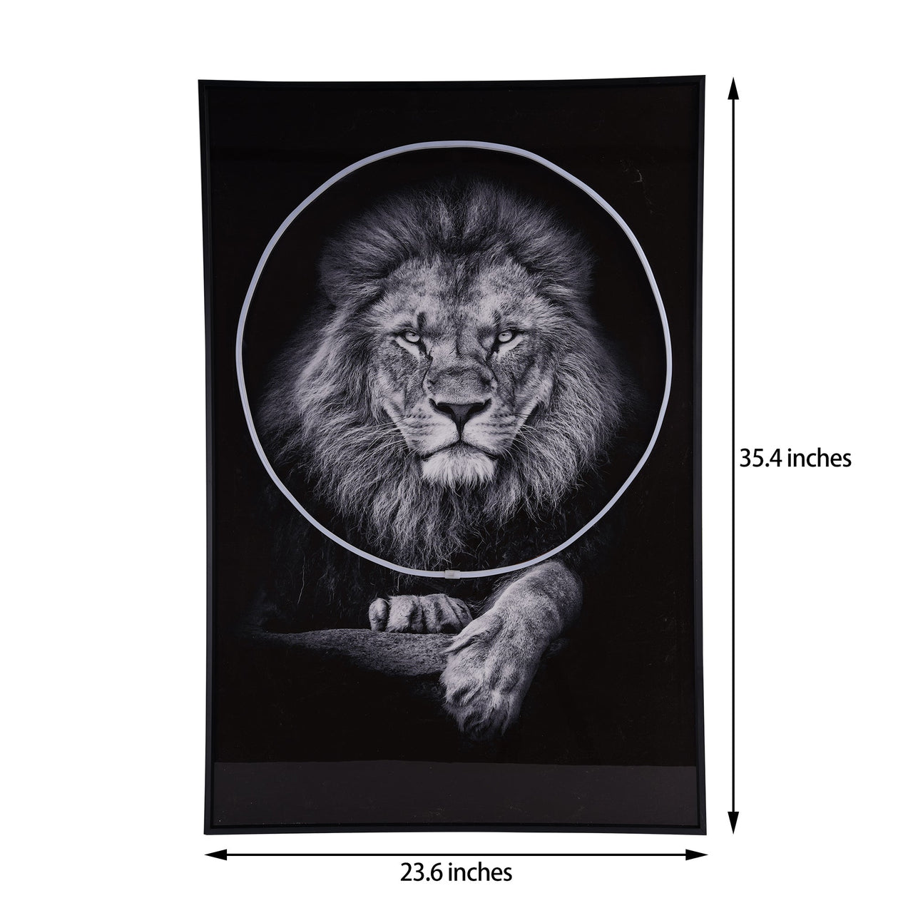 Lion Wall Art with LED Light-8