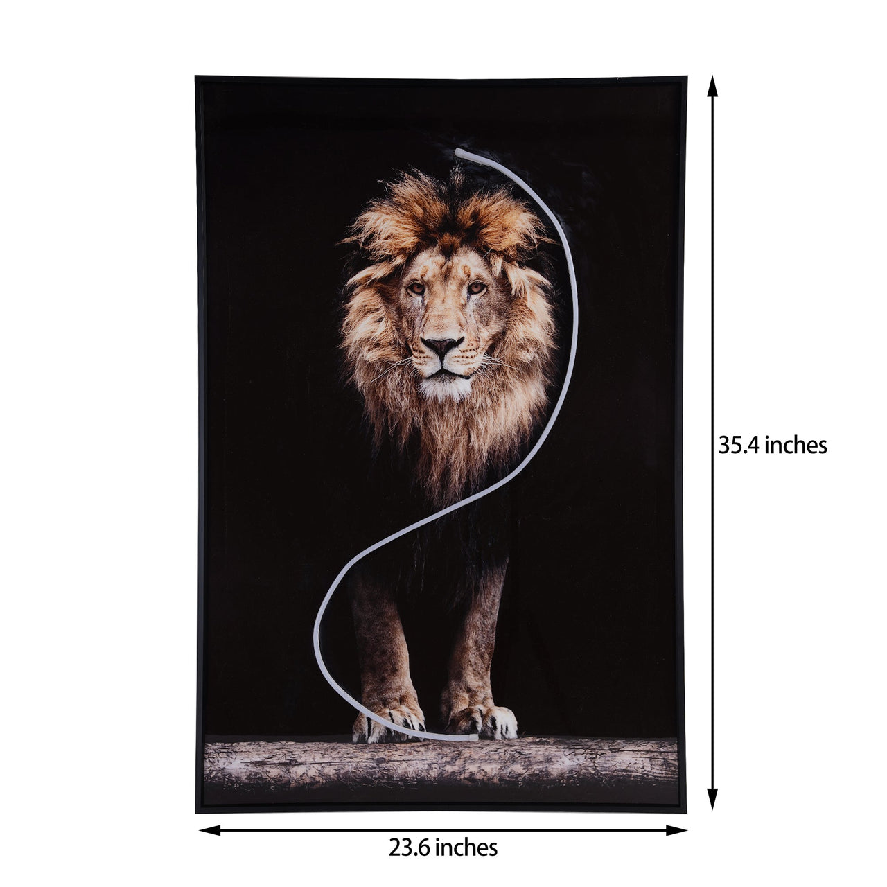 Lion Wall Art with LED Light-7